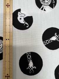 850567 Broadcloth Dot[Textile / Fabric] VANCET Sub Photo