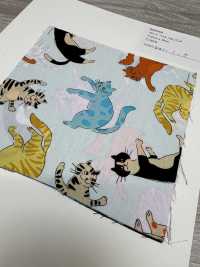 850568 Take That Broadcloth! Cat Punch[Textile / Fabric] VANCET Sub Photo
