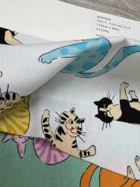 850568 Take That Broadcloth! Cat Punch[Textile / Fabric] VANCET Sub Photo