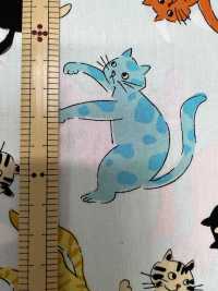 850568 Take That Broadcloth! Cat Punch[Textile / Fabric] VANCET Sub Photo