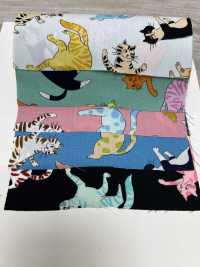 850568 Take That Broadcloth! Cat Punch[Textile / Fabric] VANCET Sub Photo