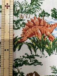 850570 Broadcloth Junk Vintage Dinosaur[Textile / Fabric] VANCET Sub Photo