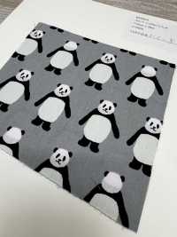 850564 Broadcloth <Look This Way, Panda>[Textile / Fabric] VANCET Sub Photo