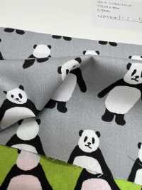 850564 Broadcloth <Look This Way, Panda>[Textile / Fabric] VANCET Sub Photo