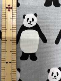 850564 Broadcloth <Look This Way, Panda>[Textile / Fabric] VANCET Sub Photo