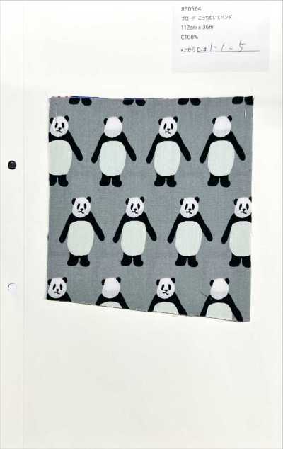 850564 Broadcloth <Look This Way Panda>