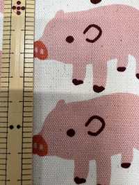 850576 Unbleached Oxford Cotton Boo Boo Pig[Textile / Fabric] VANCET Sub Photo