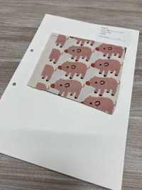 850576 Unbleached Oxford Cotton Boo Boo Pig[Textile / Fabric] VANCET Sub Photo