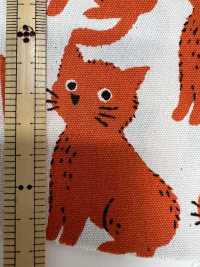 850575 Unbleached Oxford Cotton Cat And Chidori[Textile / Fabric] VANCET Sub Photo