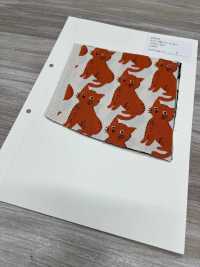 850575 Unbleached Oxford Cotton Cat And Chidori[Textile / Fabric] VANCET Sub Photo