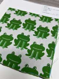 850577 Unbleached Oxford Cotton Frog[Textile / Fabric] VANCET Sub Photo