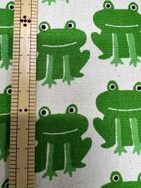 850577 Unbleached Oxford Cotton Frog[Textile / Fabric] VANCET Sub Photo