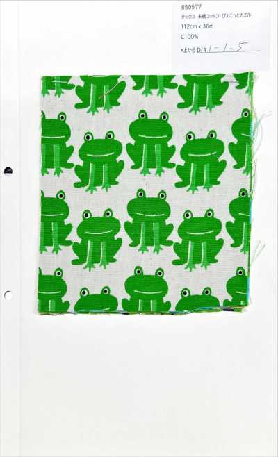 850577 Oxford Unbleached Cotton Peeking Frog