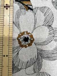 850583 Linen Canvas 80/20 PEONEY[Textile / Fabric] VANCET Sub Photo