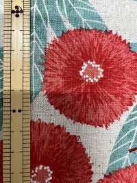 850582 Linen Canvas 80/20 TYROLIAN DAISY[Textile / Fabric] VANCET Sub Photo