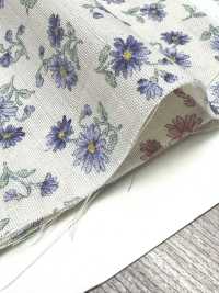 83072 Double Gauze Unbleached Cotton Nostalgia Collection / Shion[Textile / Fabric] VANCET Sub Photo