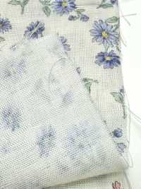 83072 Double Gauze Unbleached Cotton Nostalgia Collection / Shion[Textile / Fabric] VANCET Sub Photo