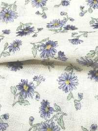 83072 Double Gauze Unbleached Cotton Nostalgia Collection / Shion[Textile / Fabric] VANCET Sub Photo