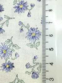 83072 Double Gauze Unbleached Cotton Nostalgia Collection / Shion[Textile / Fabric] VANCET Sub Photo