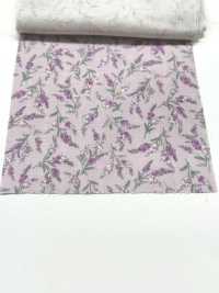 83073 Double Gauze Unbleached Cotton Nostalgia Collection / Veronica[Textile / Fabric] VANCET Sub Photo