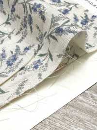 83073 Double Gauze Unbleached Cotton Nostalgia Collection / Veronica[Textile / Fabric] VANCET Sub Photo