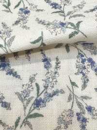 83073 Double Gauze Unbleached Cotton Nostalgia Collection / Veronica[Textile / Fabric] VANCET Sub Photo