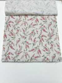 83073 Double Gauze Unbleached Cotton Nostalgia Collection / Veronica[Textile / Fabric] VANCET Sub Photo