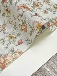 83068 SEVENBERRY® Lawn Unbleached Cotton Nostalgia Collection / Shirley[Textile / Fabric] VANCET Sub Photo