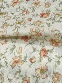 83068 SEVENBERRY® Lawn Unbleached Cotton Nostalgia Collection / Shirley[Textile / Fabric] VANCET Sub Photo