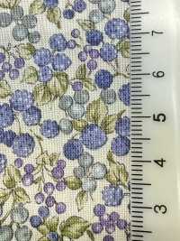 83069 SEVENBERRY® Lawn Unbleached Cotton Nostalgia Collection / Berry Garden[Textile / Fabric] VANCET Sub Photo