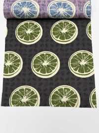 4249 SEVENBERRY® Broadcloth Stylish Relax / Orange[Textile / Fabric] VANCET Sub Photo