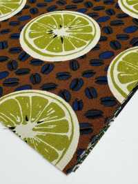 4249 SEVENBERRY® Broadcloth Stylish Relax / Orange[Textile / Fabric] VANCET Sub Photo