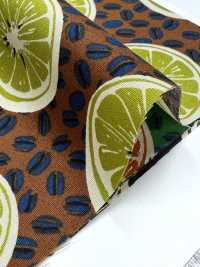 4249 SEVENBERRY® Broadcloth Stylish Relax / Orange[Textile / Fabric] VANCET Sub Photo