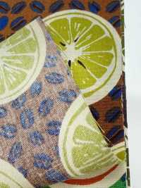 4249 SEVENBERRY® Broadcloth Stylish Relax / Orange[Textile / Fabric] VANCET Sub Photo