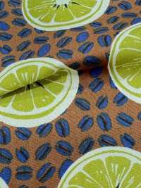 4249 SEVENBERRY® Broadcloth Stylish Relax / Orange[Textile / Fabric] VANCET Sub Photo