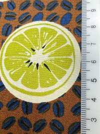 4249 SEVENBERRY® Broadcloth Stylish Relax / Orange[Textile / Fabric] VANCET Sub Photo