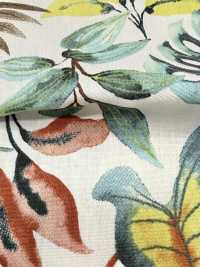 4251 SEVENBERRY® Broadcloth Stylish Relax/Vacances[Textile / Fabric] VANCET Sub Photo