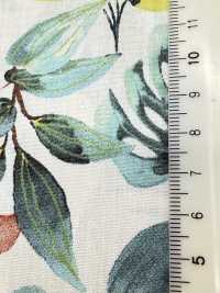 4251 SEVENBERRY® Broadcloth Stylish Relax/Vacances[Textile / Fabric] VANCET Sub Photo