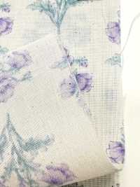 850573 SEVENBERRY® Lawn Unbleached Cotton Soleil Blue / Wildflower[Textile / Fabric] VANCET Sub Photo