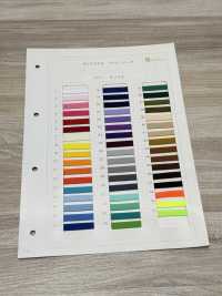 HE-161 Ester Spindle Cord[Ribbon Tape Cord] No Name Sub Photo