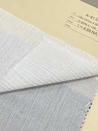 A-8170 Linen Yoryu (Wrinkle Crepe)[Textile / Fabric] ARINOBE Sub Photo