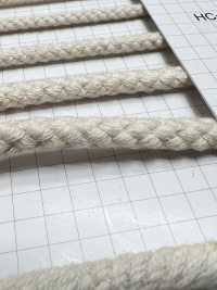 HC-1005 Cotton 8-stitch Spindle L[Ribbon Tape Cord] No Name Sub Photo