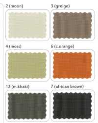 LIG4030-RE CRISPY MICRO RIP C0WR[Textile / Fabric] Lingo (Kuwamura Textiles) Sub Photo