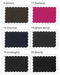 LIG4030-RE CRISPY MICRO RIP C0WR[Textile / Fabric] Lingo (Kuwamura Textiles) Sub Photo