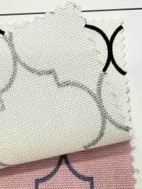 SP5500 Moroccan Oxford(Round)[Textile / Fabric] COSMO TEXTILE Sub Photo