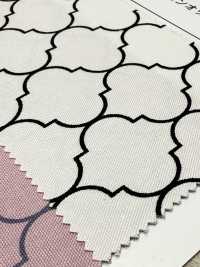 SP5500-DR Moroccan Oxford(Half-folded)[Textile / Fabric] COSMO TEXTILE Sub Photo