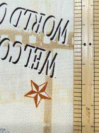 AP55201 Cinefabric Oxford (Round Roll)[Textile / Fabric] COSMO TEXTILE Sub Photo