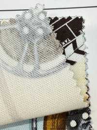 AP55201-DR Cinefabric Oxford (Half-fold)[Textile / Fabric] COSMO TEXTILE Sub Photo