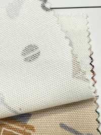 AP55110 Tea Time Oxford(Round Roll)[Textile / Fabric] COSMO TEXTILE Sub Photo