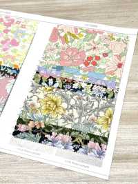 AP55808 Essential Grace 2 Oxford(Round)[Textile / Fabric] COSMO TEXTILE Sub Photo